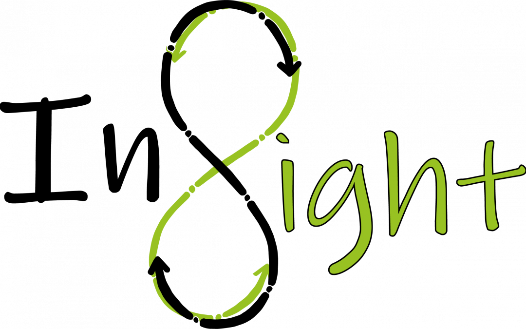 Comment promouvoir et faciliter la symbiose industrielle ? Le projet INSIGHT publie ses recommandations.