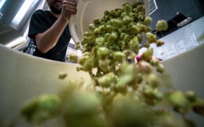 Un facilitateur biodéchets pour les professionnels