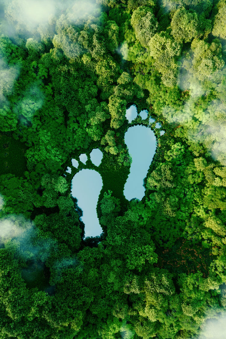 iStock-1344923073_750x1125px