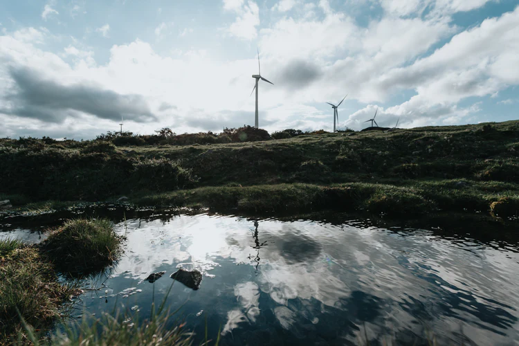 Métabolisme de la Région de Bruxelles-Capitale : une étude pour optimiser les flux de matières, d’eau et d’énergie à Bruxelles