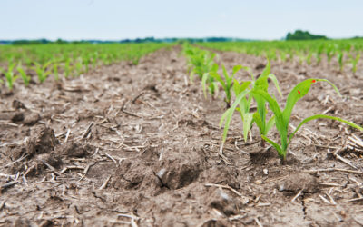 DAFoR : Améliorer la gestion de l’eau face au changement climatique pour l’agriculture en Wallonie 